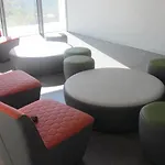 Uba Σαν Σεμπαστιάν